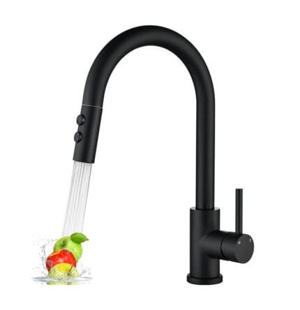 Grifo Negro extraible RAINMAX